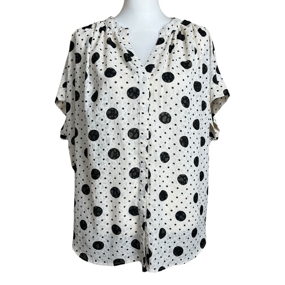 Jodifl Women’s Size L Polka Dot Cap Sleeve Blouse Button Up Black Cream Work - Picture 8 of 8